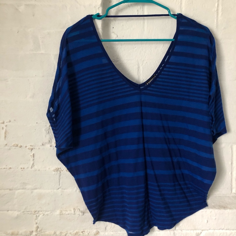 Express Oversized Sheer Blouse in Blue